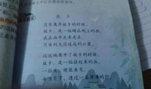 唱给家乡的赞歌