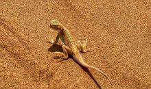 享受生命中的渺小