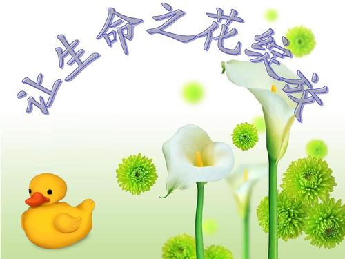 让生活绽放音乐灯