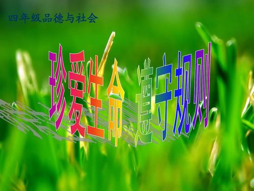 珍惜生活中的爱