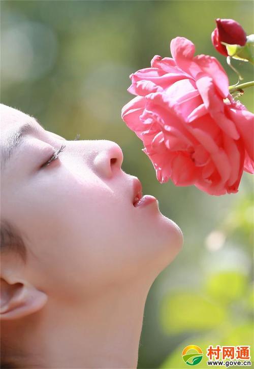 梦境梦想