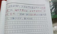 广东的春节作文