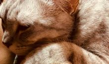 那一刻，我懂得什么是幸福