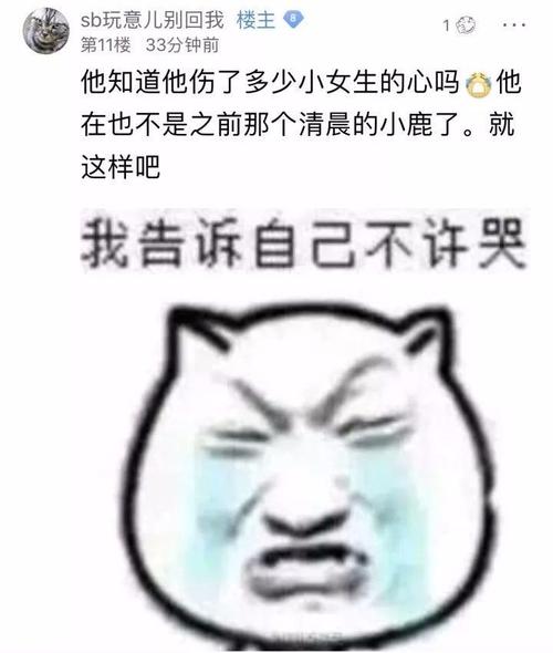 他伤害了我的心