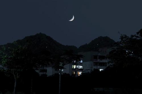 羊角面包今晚