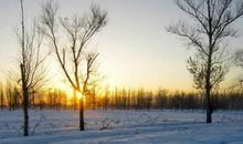 以低姿态去生活