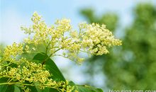 细品遗憾的美丽