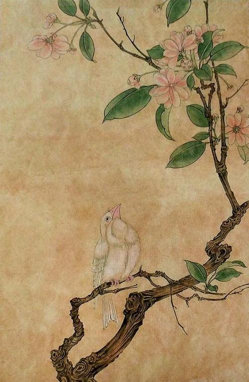 花的