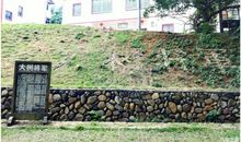 桂花，伴我同行