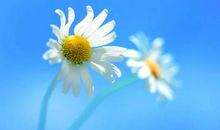 回归内心的平静