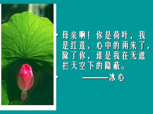 你是一片莲花，我是一个红莲花。