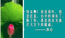 你是荷叶我是红莲