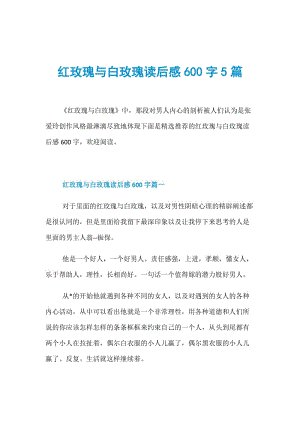 在法律安全之后