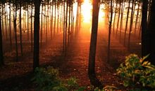 生活中充满阳光