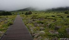 非比寻常的雨天