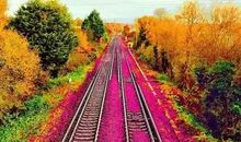 成长的路上有真情