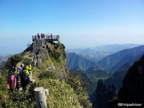 山旅行