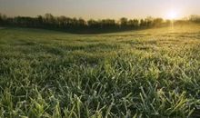 一路走来，懂得放开