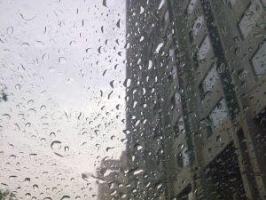 我记得雨