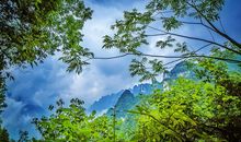 当风吹过无花的夏天