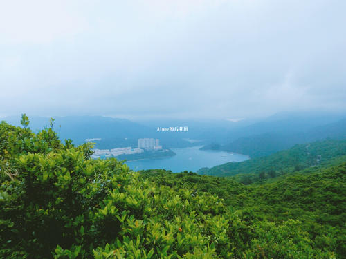 谢谢青春
