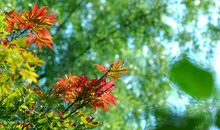 寻找秋天的痕迹