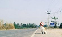 战胜自我是一种幸福