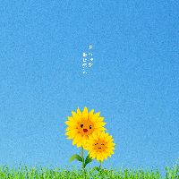 秋季私人语言