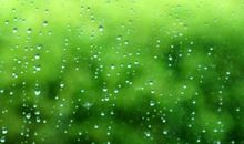 雨轻轻落在校园