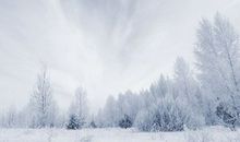 2015年的第一场雪