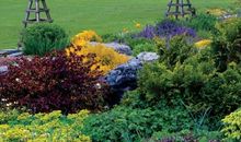 我们的水果花园