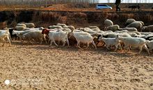 从悲伤中学会释怀