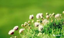 放低姿态越挫越勇