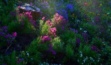 难以淡忘的风景