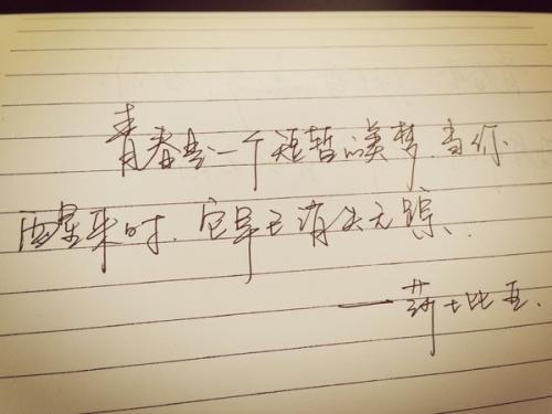 关于沉默的成分