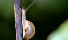 我要一步一步地往上爬