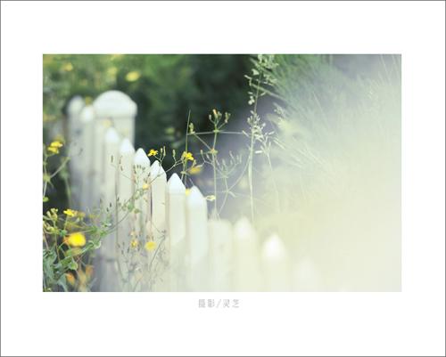 漂浮