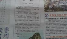 我从报刊中学到了语文