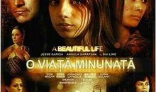 观电影《美丽人生》有感