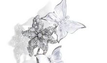 来自蝴蝶的启迪