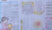 愿你我心中开出文明花