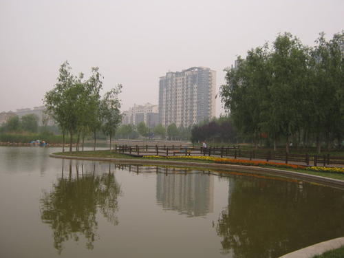 美丽的湖公园公园