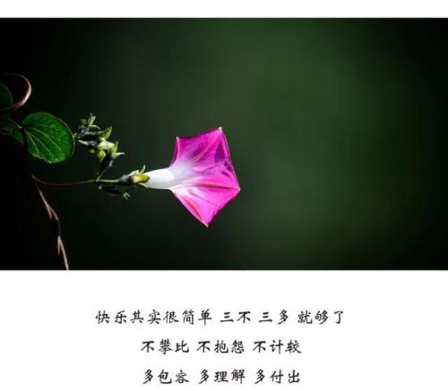 我理解花的精神。
