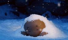 哆基朴的天空观后感