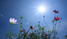 爱藏在心底不曾忘记