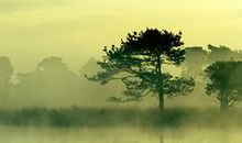 等待天亮的日子