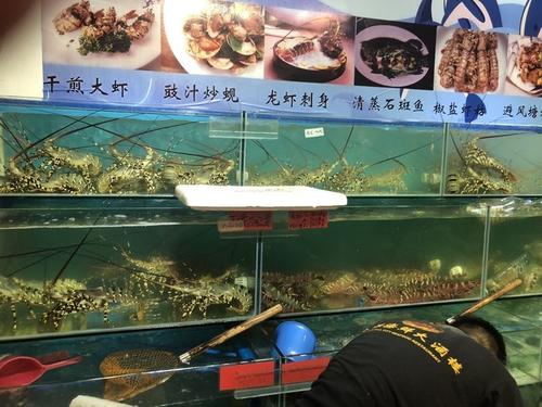 当你拥有自己的角色