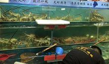 当好自己的角色