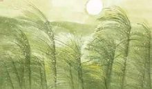 那丛盎绿，给了我叩憾