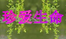 生命因拒绝而精彩